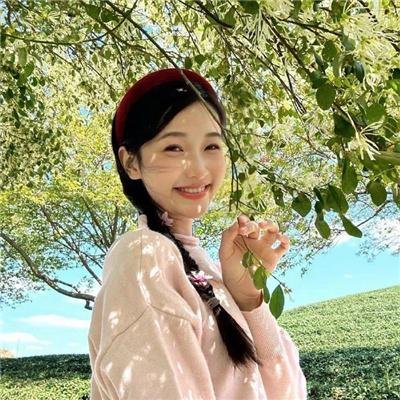 傲骨之战第四季